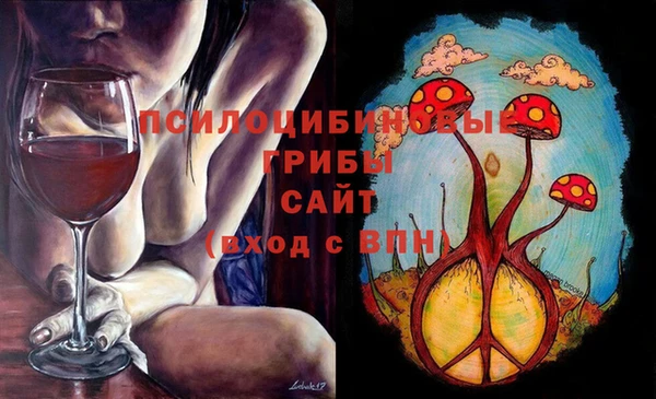 молекула духа Алексин