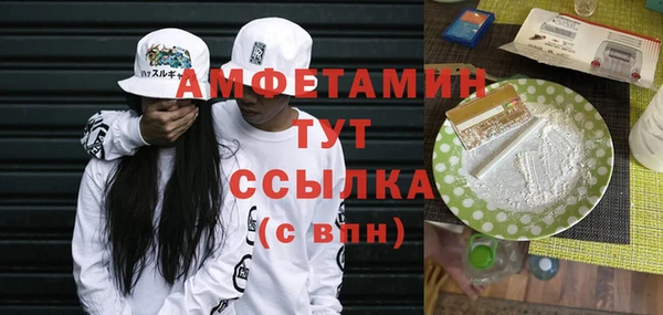 молекула духа Алексин
