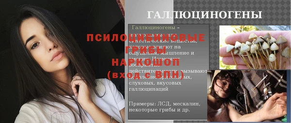 твердый Алексеевка